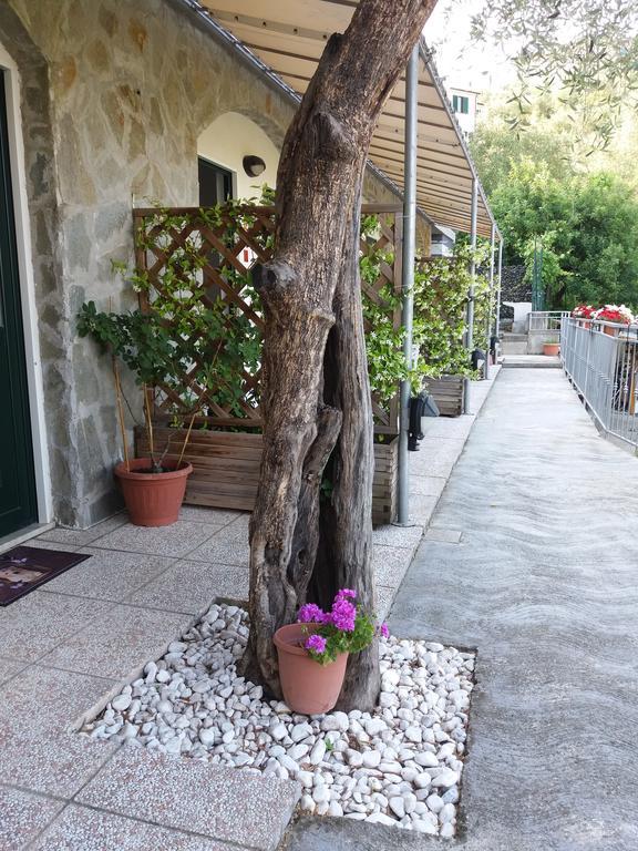 Affittacamere Arabafenice Vezzano Ligure Eksteriør bilde
