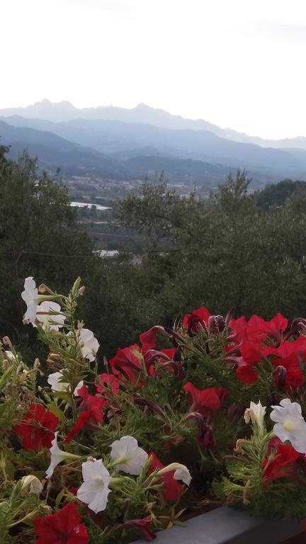 Affittacamere Arabafenice Vezzano Ligure Eksteriør bilde
